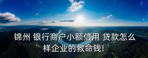  錦州 銀行商戶(hù)小額信用 貸款怎么樣企業(yè)的救命錢(qián)!