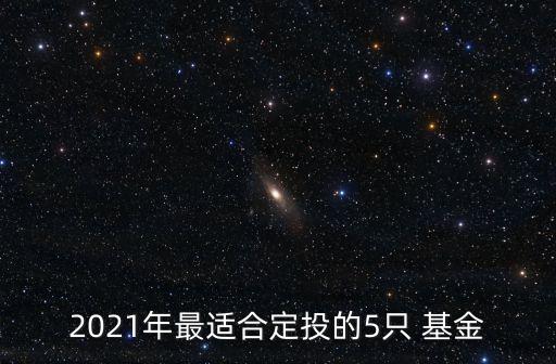 2021年最適合定投的5只 基金