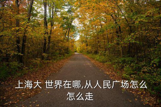  上海大 世界在哪,從人民廣場(chǎng)怎么怎么走