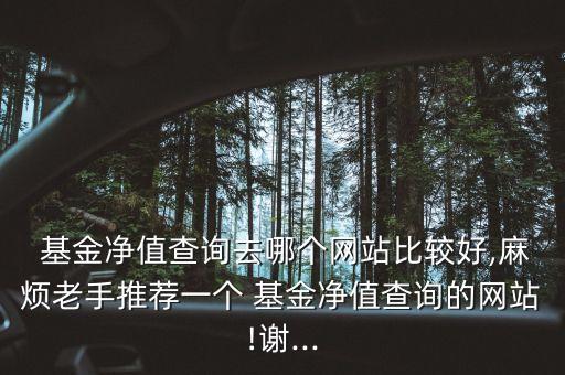  基金凈值查詢?nèi)ツ膫€(gè)網(wǎng)站比較好,麻煩老手推薦一個(gè) 基金凈值查詢的網(wǎng)站!謝...