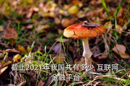 截止2021年我國共有多少 互聯(lián)網(wǎng) 金融平臺