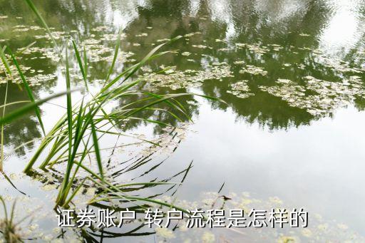 證券賬戶 轉(zhuǎn)戶流程是怎樣的