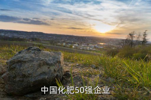 中國化肥50強(qiáng)企業(yè)