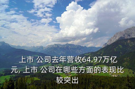  上市 公司去年?duì)I收64.97萬億元, 上市 公司在哪些方面的表現(xiàn)比較突出