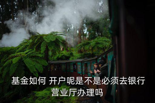  基金如何 開戶呢是不是必須去銀行營業(yè)廳辦理嗎