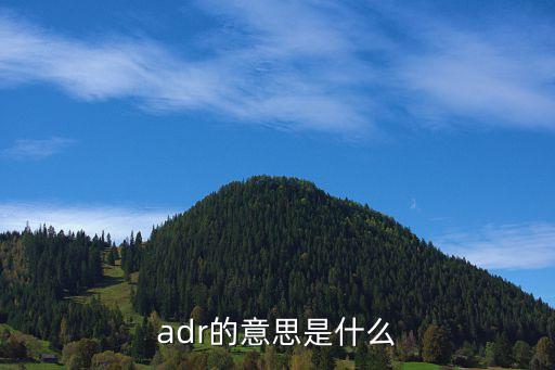 adr的意思是什么