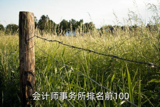  會(huì)計(jì)師事務(wù)所排名前100