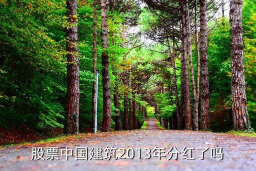 股票中國建筑2013年分紅了嗎