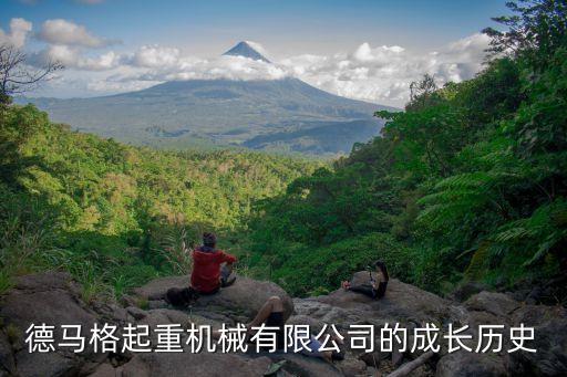 德馬格起重機械有限公司的成長歷史