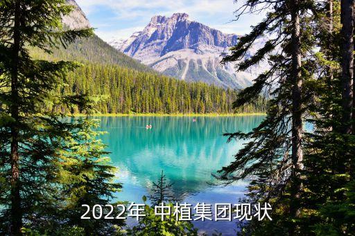 2022年 中植集團現(xiàn)狀