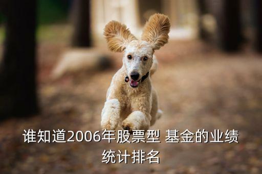 誰知道2006年股票型 基金的業(yè)績統(tǒng)計排名