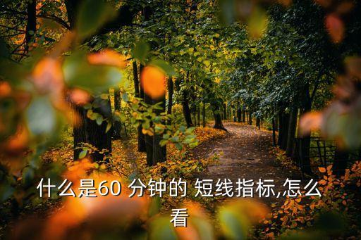 什么是60 分鐘的 短線指標(biāo),怎么看