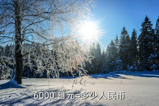 6000 日元=多少人民幣