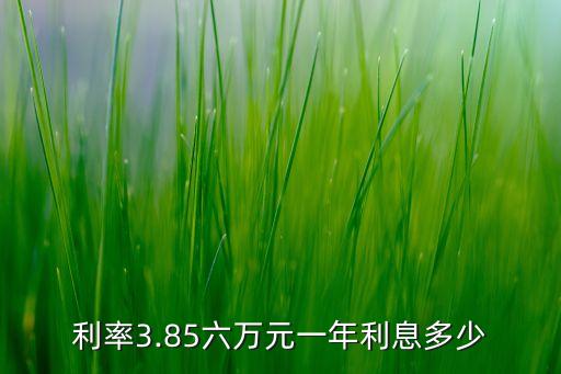 利率3.85六萬元一年利息多少