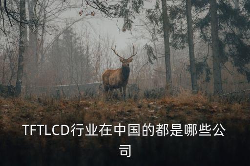 TFTLCD行業(yè)在中國的都是哪些公司