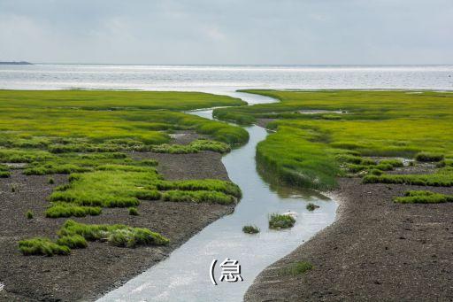 2014年上海城開(kāi)土地成交