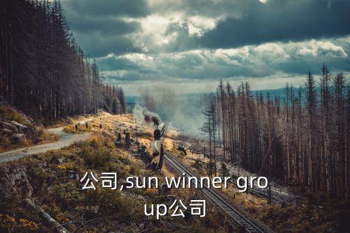 up公司,sun winner group公司