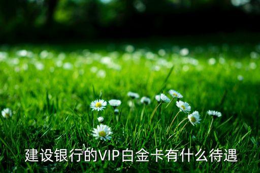  建設(shè)銀行的VIP白金卡有什么待遇