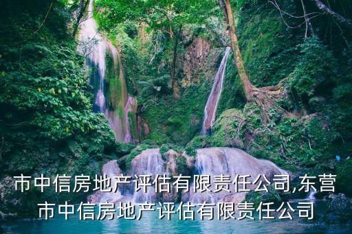 同江市中信房地產(chǎn)評估有限責任公司,東營市中信房地產(chǎn)評估有限責任公司