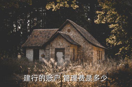 建行的賬戶 管理費是多少