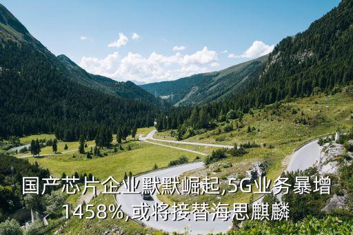 國產(chǎn)芯片企業(yè)默默崛起,5G業(yè)務(wù)暴增1458%,或?qū)⒔犹婧Ｋ槛梓? class=