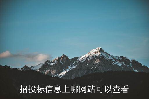 招投標信息上哪網(wǎng)站可以查看