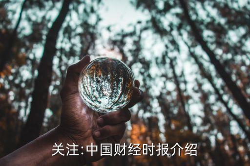 關(guān)注:中國(guó)財(cái)經(jīng)時(shí)報(bào)介紹