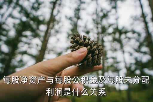 每股凈資產(chǎn)與每股公積金及每股未分配利潤是什么關(guān)系