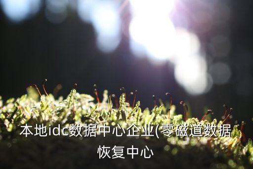 本地idc數(shù)據(jù)中心企業(yè)(零磁道數(shù)據(jù)恢復(fù)中心