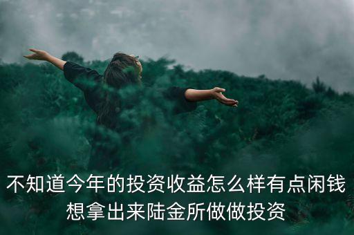 不知道今年的投資收益怎么樣有點(diǎn)閑錢想拿出來(lái)陸金所做做投資