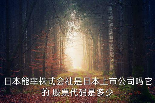 日本能率株式會(huì)社是日本上市公司嗎它的 股票代碼是多少