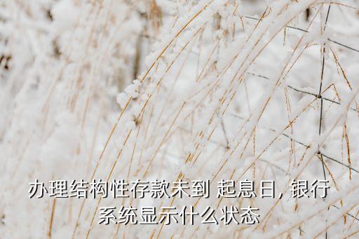 辦理結構性存款未到 起息日, 銀行系統(tǒng)顯示什么狀態(tài)