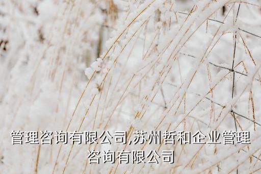 上哲管理咨詢有限公司,蘇州哲和企業(yè)管理咨詢有限公司