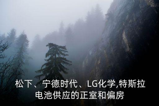  松下、寧德時(shí)代、LG化學(xué),特斯拉電池供應(yīng)的正室和偏房