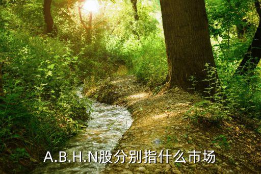 A.B.H.N股分別指什么市場(chǎng)