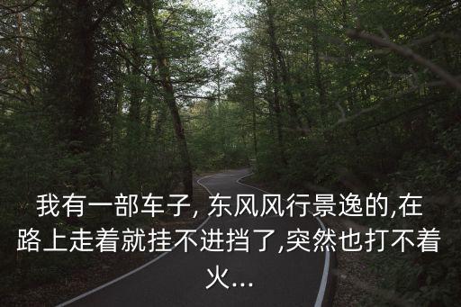 我有一部車(chē)子, 東風(fēng)風(fēng)行景逸的,在路上走著就掛不進(jìn)擋了,突然也打不著火...