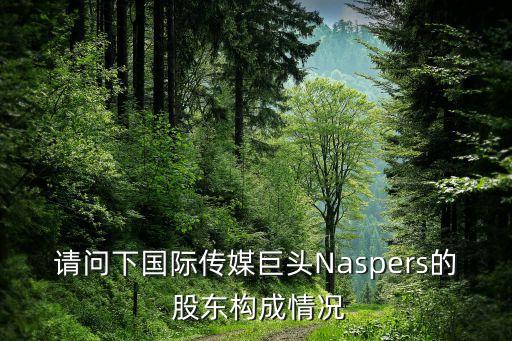 請(qǐng)問下國際傳媒巨頭Naspers的 股東構(gòu)成情況