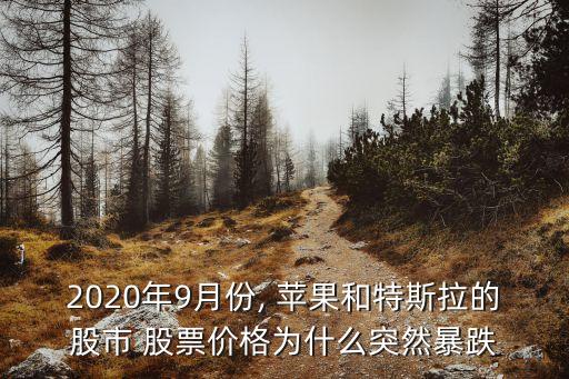 2020年9月份, 蘋果和特斯拉的股市 股票價(jià)格為什么突然暴跌