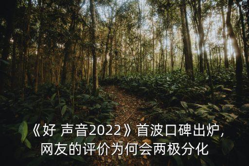 《好 聲音2022》首波口碑出爐,網(wǎng)友的評(píng)價(jià)為何會(huì)兩極分化