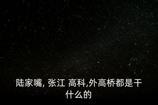 陸家嘴, 張江 高科,外高橋都是干什么的