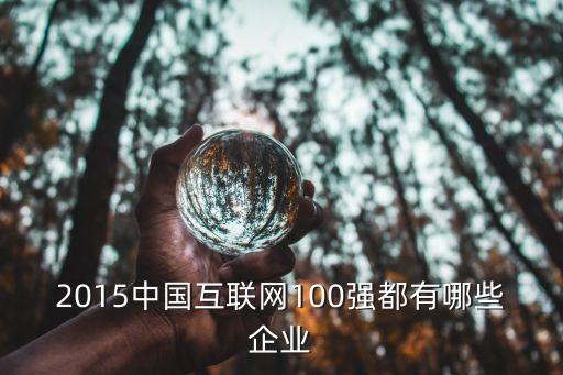 2015中國互聯(lián)網100強都有哪些企業(yè)