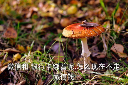 微信和 銀行卡綁著呢,怎么現(xiàn)在不走微信錢