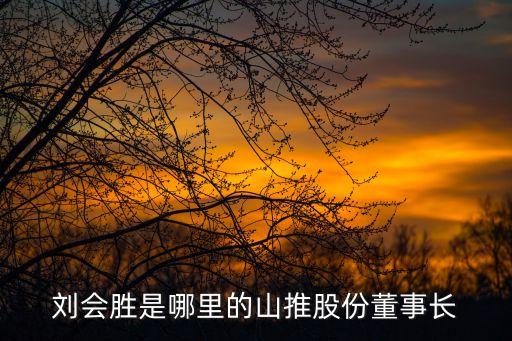 劉會(huì)勝是哪里的山推股份董事長(zhǎng)