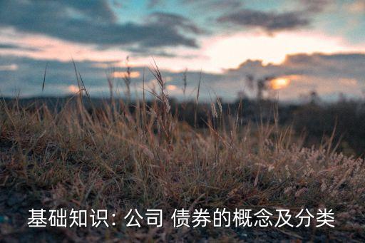 基礎(chǔ)知識(shí): 公司 債券的概念及分類(lèi)