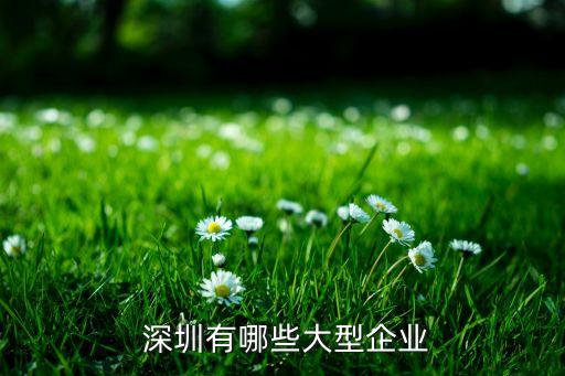 深圳普路通供應(yīng)鏈公司排名