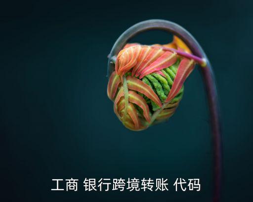 工商 銀行跨境轉(zhuǎn)賬 代碼