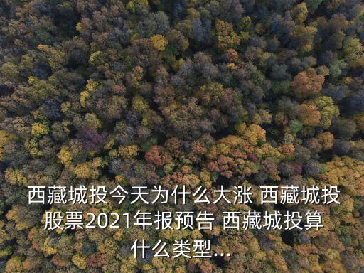  西藏城投今天為什么大漲 西藏城投 股票2021年報(bào)預(yù)告 西藏城投算什么類型...