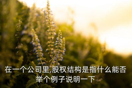 在一個公司里,股權(quán)結(jié)構(gòu)是指什么能否舉個例子說明一下