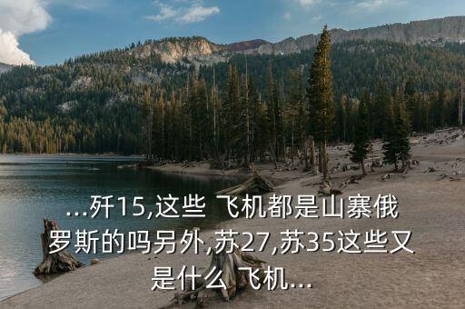 ...殲15,這些 飛機(jī)都是山寨俄羅斯的嗎另外,蘇27,蘇35這些又是什么 飛機(jī)...