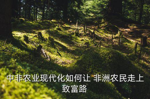 中非農(nóng)業(yè)現(xiàn)代化如何讓 非洲農(nóng)民走上致富路